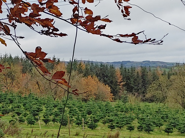 View to Lough an Lae mountains